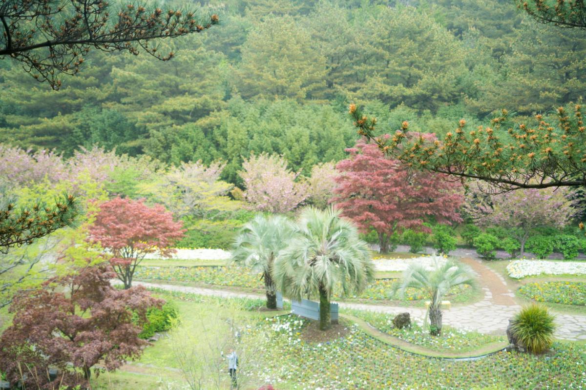 [크기변환]JSP09249.jpg